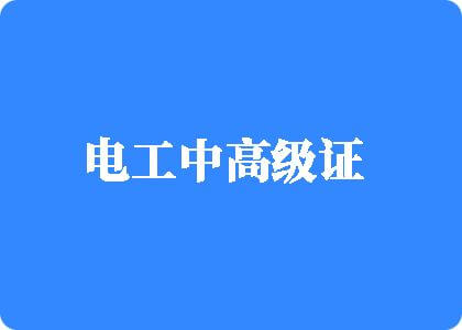 日逼日逼日逼黄色视频日逼日逼电工中高级证